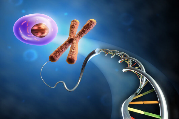 Genetic Testing - 23 chromosome pairs